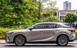 Xe Lexus RX 350 Premium 2024