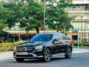 Xe Mercedes Benz GLC 200 2019