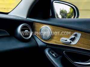 Xe Mercedes Benz C class C250 Exclusive 2015